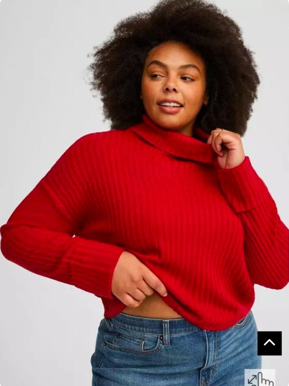 Torrid Turtle Neck Sweater